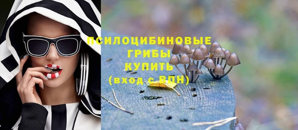 дживик Алексин