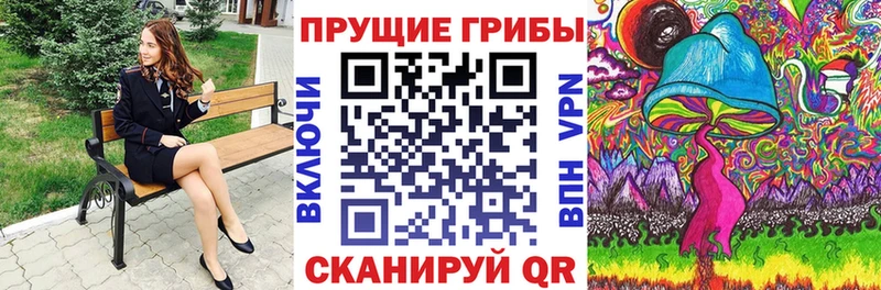 Псилоцибиновые грибы Psilocybe Гурьевск