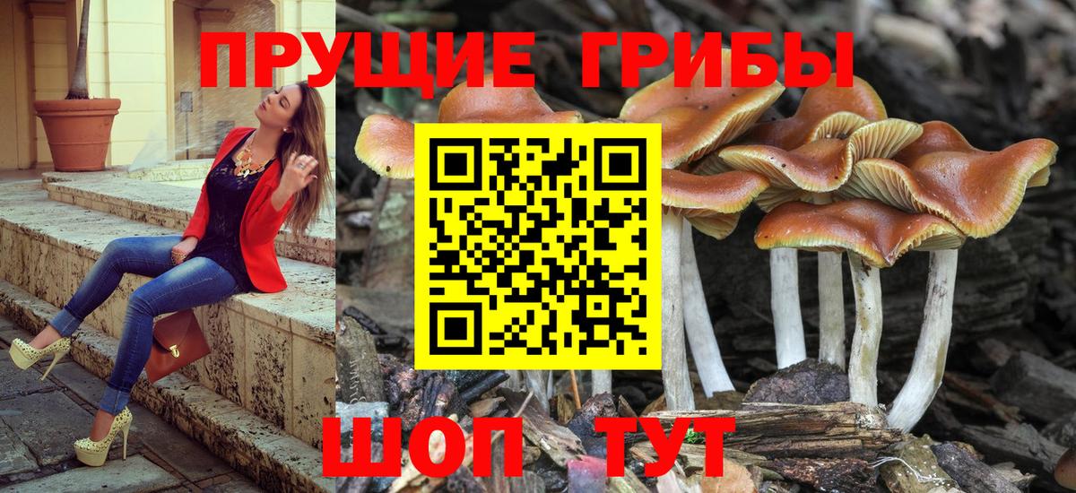 Галлюциногенные грибы Magic Shrooms Гурьевск